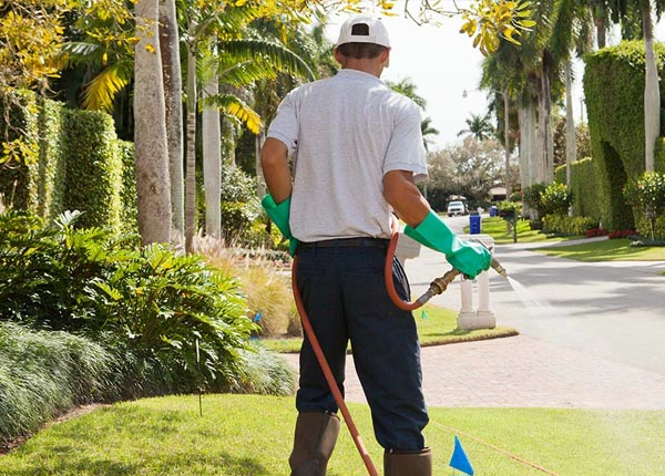 About Brant Lake NY Pest Control
